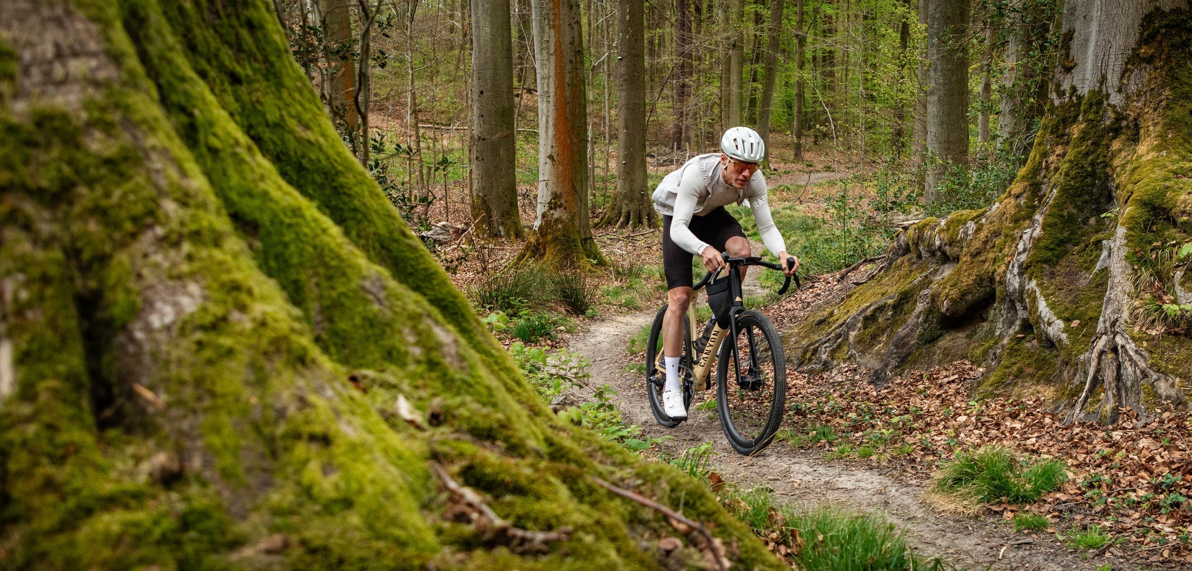 A rider blazing through the forest.