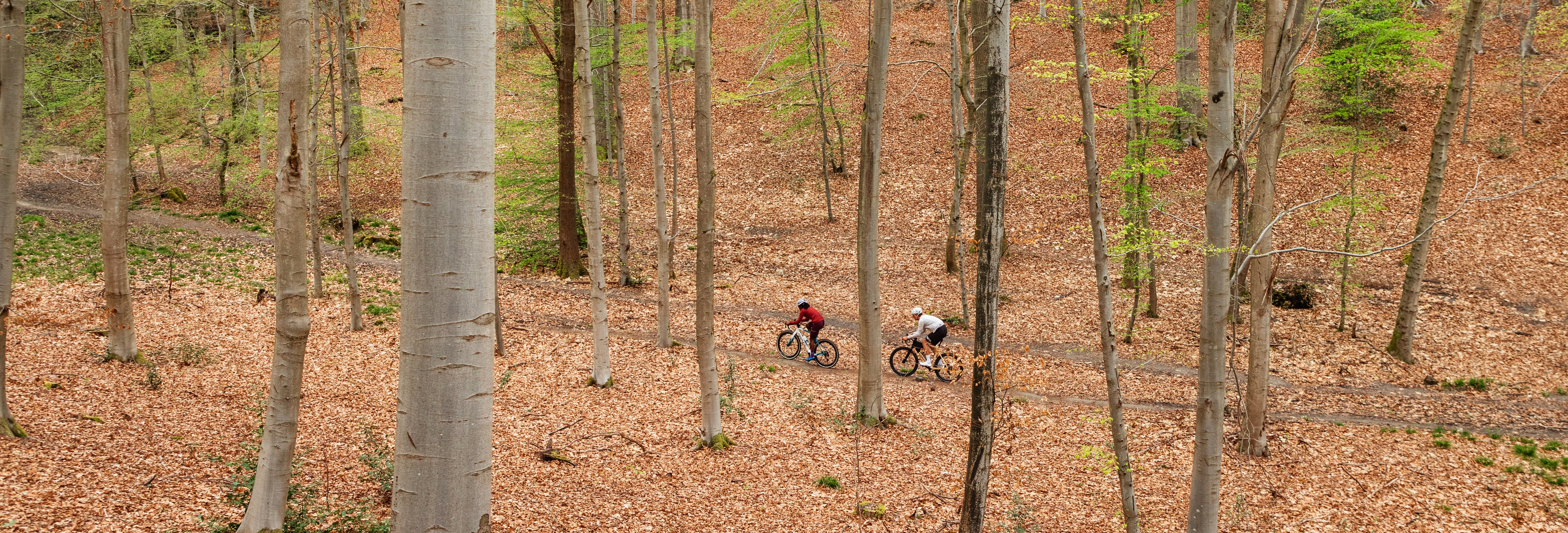 Two riders with Gravaa system in the woods.