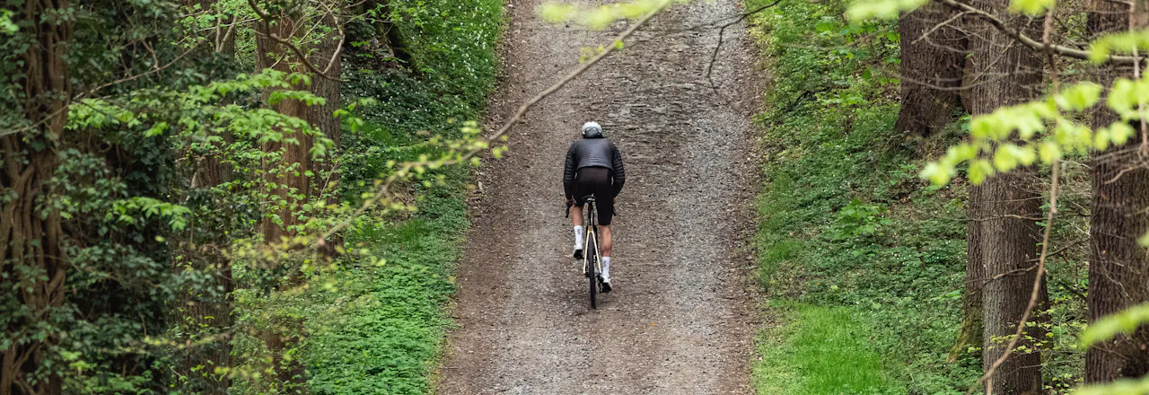 Moody forest gravel road with Gravaa.